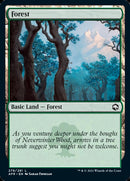 Forest (279) [Dungeons & Dragons: Adventures in the Forgotten Realms] - The Mythic Store | 24h Order Processing