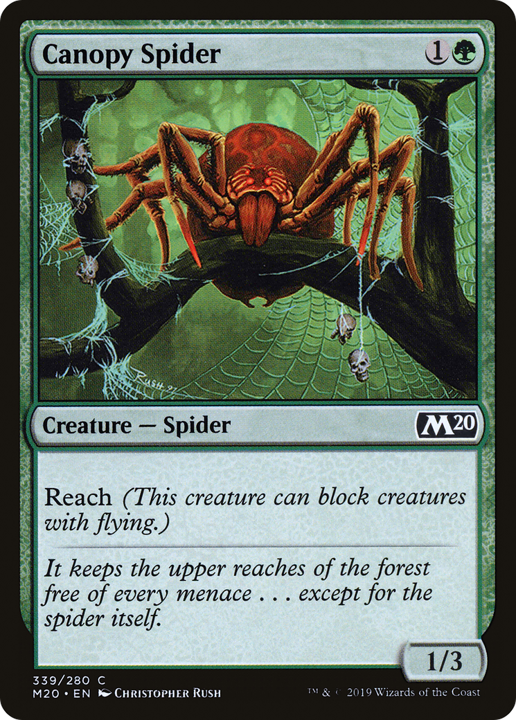 Canopy Spider [Core Set 2020] - The Mythic Store | 24h Order Processing