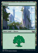 Forest (270) [Streets of New Capenna] - The Mythic Store | 24h Order Processing