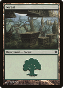 Forest (245) [Rise of the Eldrazi] - The Mythic Store | 24h Order Processing