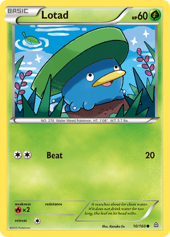 Lotad (10/160) [XY: Primal Clash] - The Mythic Store | 24h Order Processing