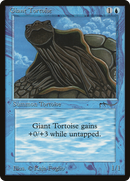 Giant Tortoise (Light Mana Cost) [Arabian Nights] - The Mythic Store | 24h Order Processing