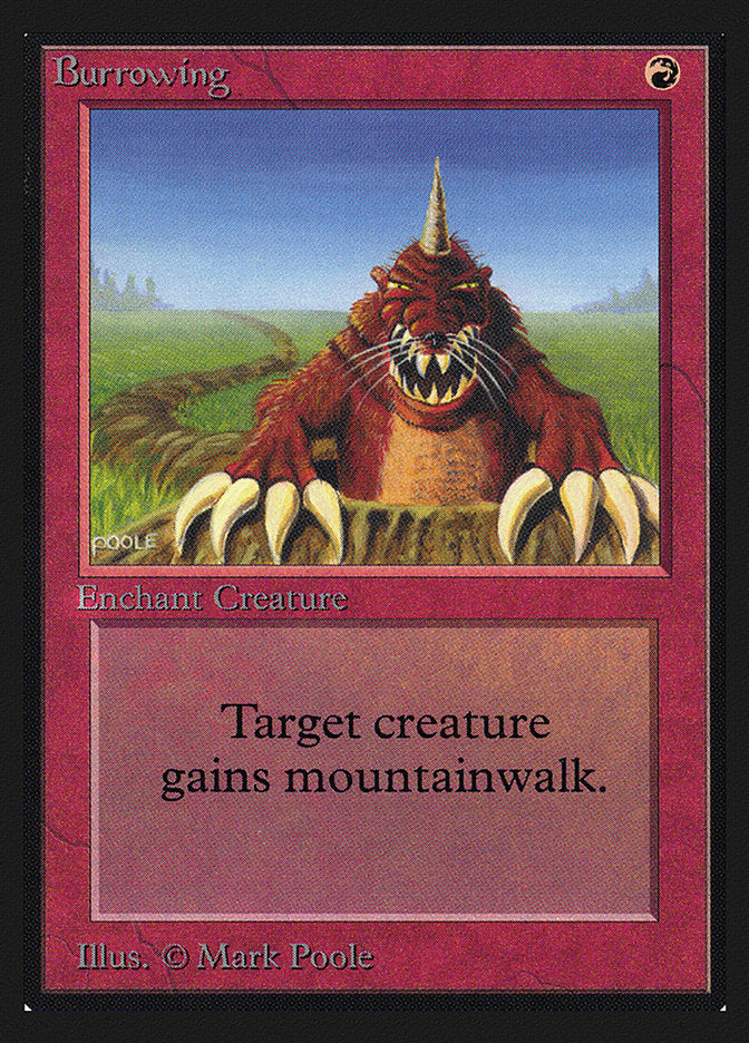 Burrowing [International Collectors' Edition] - The Mythic Store | 24h Order Processing