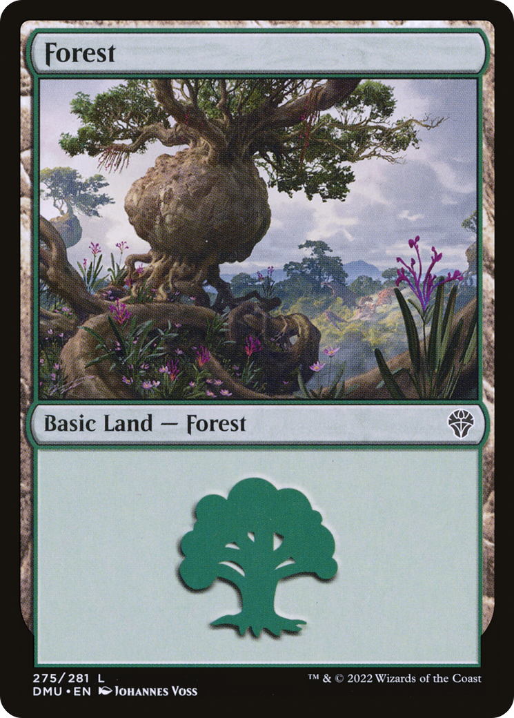 Forest (275) [Dominaria United] - The Mythic Store | 24h Order Processing