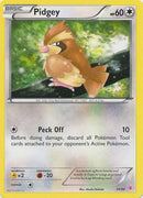 Pidgey (11/30) [XY: Trainer Kit 1 - Wigglytuff] - The Mythic Store | 24h Order Processing