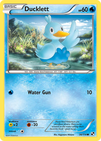 Ducklett (36/114) [Black & White: Base Set] - The Mythic Store | 24h Order Processing