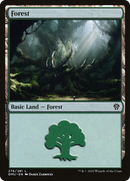 Forest (276) [Dominaria United] - The Mythic Store | 24h Order Processing