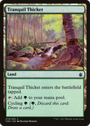 Tranquil Thicket [Commander Anthology] - The Mythic Store | 24h Order Processing