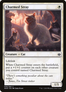 Charmed Stray [War of the Spark] - The Mythic Store | 24h Order Processing