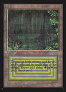 Bayou [International Collectors' Edition] - The Mythic Store | 24h Order Processing