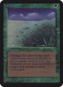 Lifelace [Alpha Edition] - The Mythic Store | 24h Order Processing