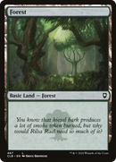 Forest (467) [Commander Legends: Battle for Baldur's Gate] - The Mythic Store | 24h Order Processing