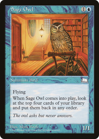 Sage Owl [Weatherlight] - The Mythic Store | 24h Order Processing