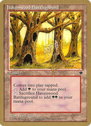 Havenwood Battleground (Bertrand Lestree) [Pro Tour Collector Set] - The Mythic Store | 24h Order Processing