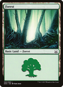 Forest (63) [Duel Decks: Mind vs. Might] - The Mythic Store | 24h Order Processing