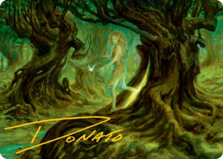 Neverwinter Dryad Art Card (Gold-Stamped Signature) [Dungeons & Dragons: Adventures in the Forgotten Realms Art Series] - The Mythic Store | 24h Order Processing