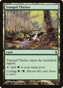 Tranquil Thicket [Duel Decks: Izzet vs. Golgari] - The Mythic Store | 24h Order Processing