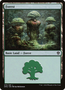 Forest (274) [Dominaria United] - The Mythic Store | 24h Order Processing