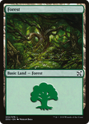 Forest (32) [Duel Decks: Elves vs. Inventors] - The Mythic Store | 24h Order Processing