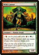Wild Cantor [Guildpact] - The Mythic Store | 24h Order Processing