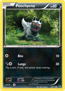 Poochyena (53/119) [XY: Phantom Forces] - The Mythic Store | 24h Order Processing