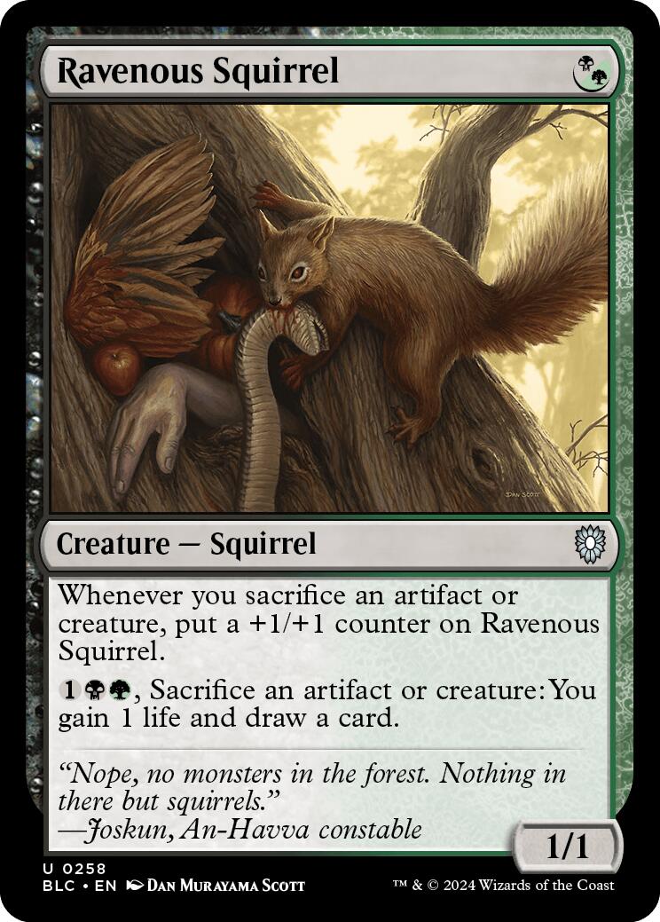 Ravenous Squirrel [Bloomburrow Commander] - The Mythic Store | 24h Order Processing