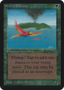 Birds of Paradise [Alpha Edition] - The Mythic Store | 24h Order Processing