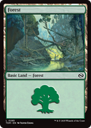Forest (0285) [Tarkir: Dragonstorm] - The Mythic Store | 24h Order Processing
