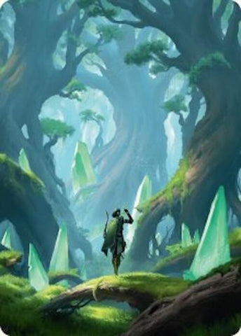 Forest Art Card (25/54) [Foundations Art Series] - The Mythic Store | 24h Order Processing
