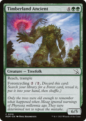 Timberland Ancient [March of the Machine] - The Mythic Store | 24h Order Processing