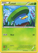 Lotad (11/30) [XY: Trainer Kit 2 - Latias] - The Mythic Store | 24h Order Processing
