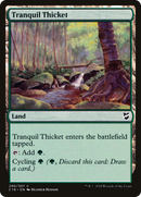 Tranquil Thicket [Commander 2018] - The Mythic Store | 24h Order Processing