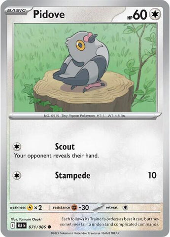 Pidove (071/086) [Scarlet & Violet: Black Bolt] - The Mythic Store | 24h Order Processing