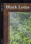 Black Lotus (1 of 9) (Ultra PRO Puzzle Quest) [Media Promos] - The Mythic Store | 24h Order Processing