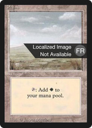 Plains (B) [Foreign Black Border] - The Mythic Store | 24h Order Processing