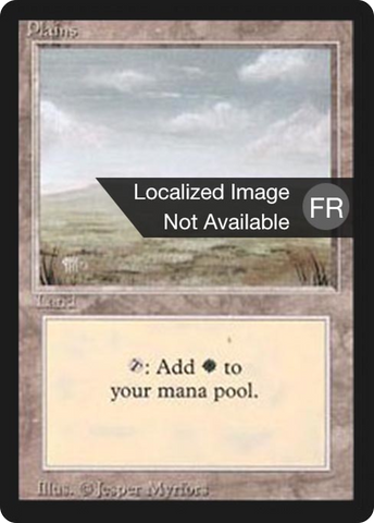 Plains (B) [Foreign Black Border] - The Mythic Store | 24h Order Processing