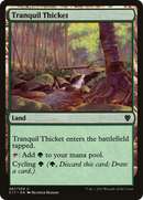 Tranquil Thicket [Commander 2017] - The Mythic Store | 24h Order Processing