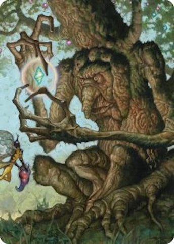 Faeburrow Elder Art Card [Lorwyn Eclipsed Art Series] - The Mythic Store | 24h Order Processing