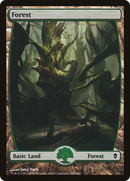 Forest (247) [Zendikar] - The Mythic Store | 24h Order Processing