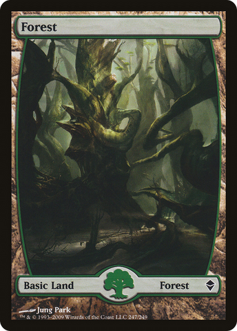 Forest (247) [Zendikar] - The Mythic Store | 24h Order Processing