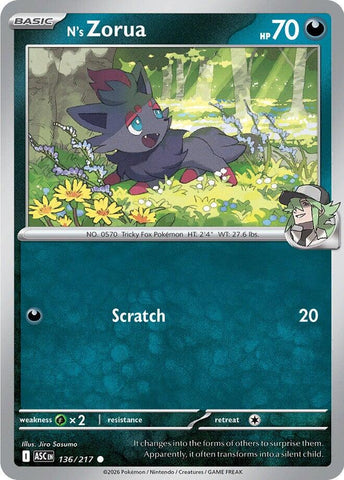 N's Zorua (136/217) [Mega Evolution: Ascended Heroes] - The Mythic Store | 24h Order Processing