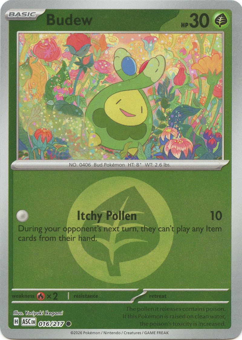 Budew (016/217) (Energy Symbol Pattern) [Mega Evolution: Ascended Heroes] - The Mythic Store | 24h Order Processing