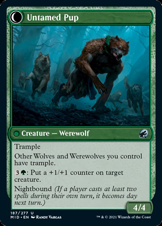 Hound Tamer // Untamed Pup [Innistrad: Midnight Hunt] - The Mythic Store | 24h Order Processing