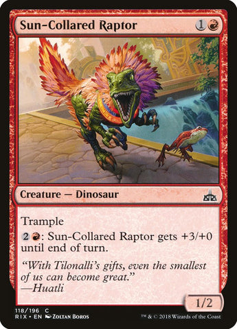 Sun-Collared Raptor [Rivals of Ixalan] - The Mythic Store | 24h Order Processing