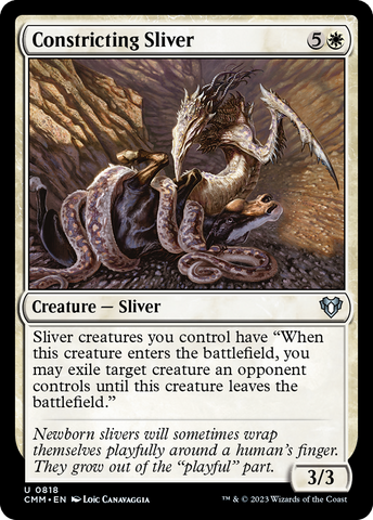 Constricting Sliver [Commander Masters] - The Mythic Store | 24h Order Processing
