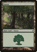 Forest (301) [Lorwyn] - The Mythic Store | 24h Order Processing