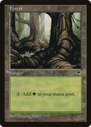 Forest (Large Roots) [Tempest] - The Mythic Store | 24h Order Processing