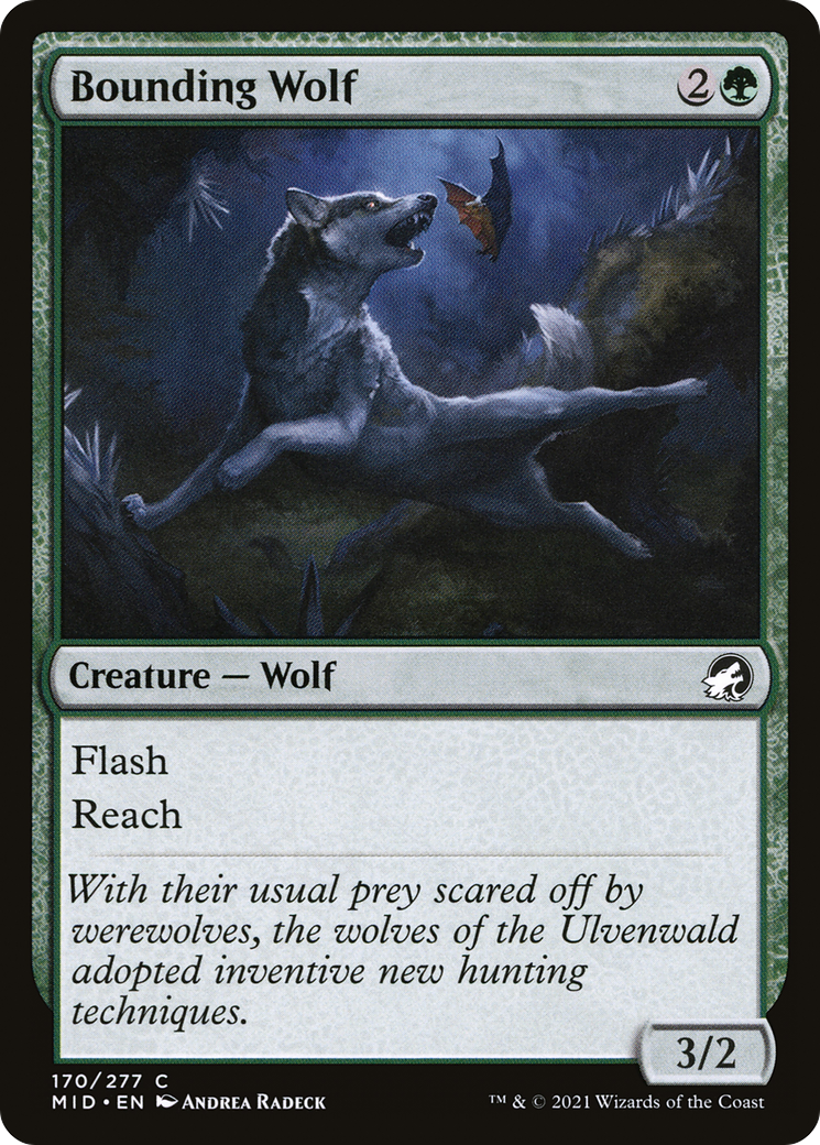 Bounding Wolf [Innistrad: Midnight Hunt] - The Mythic Store | 24h Order Processing