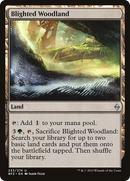 Blighted Woodland [Battle for Zendikar] - The Mythic Store | 24h Order Processing