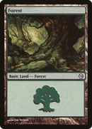 Forest (113) [Duels of the Planeswalkers] - The Mythic Store | 24h Order Processing